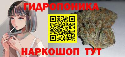 гашик Краснознаменск