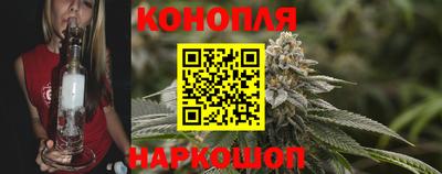 гашик Краснознаменск