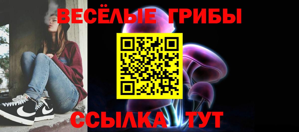Псилоцибиновые грибы Cubensis Иваново